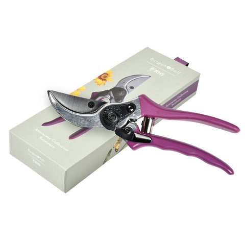 Burgon and Ball RHS Gifts for Gardeners 'Asteraceae' gift-boxed secateur