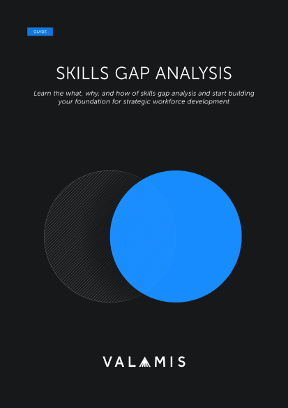 Skills gab analysis cover